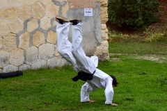Caduta2