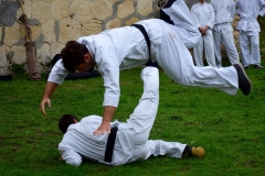 PoChi-Nere