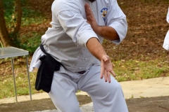 TaiChi-Michele