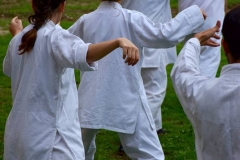 TaiChi-gruppo2