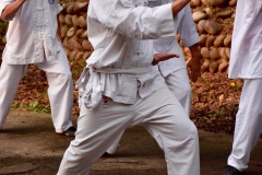 TaiChi
