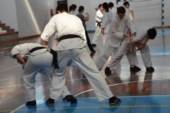 6b